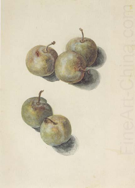 Edouard Manet Etude de cinq prunes (mk40) china oil painting image